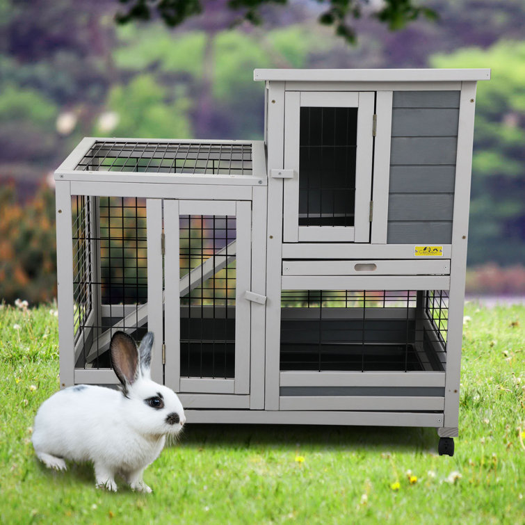 Wayfair bunny outlet hutch